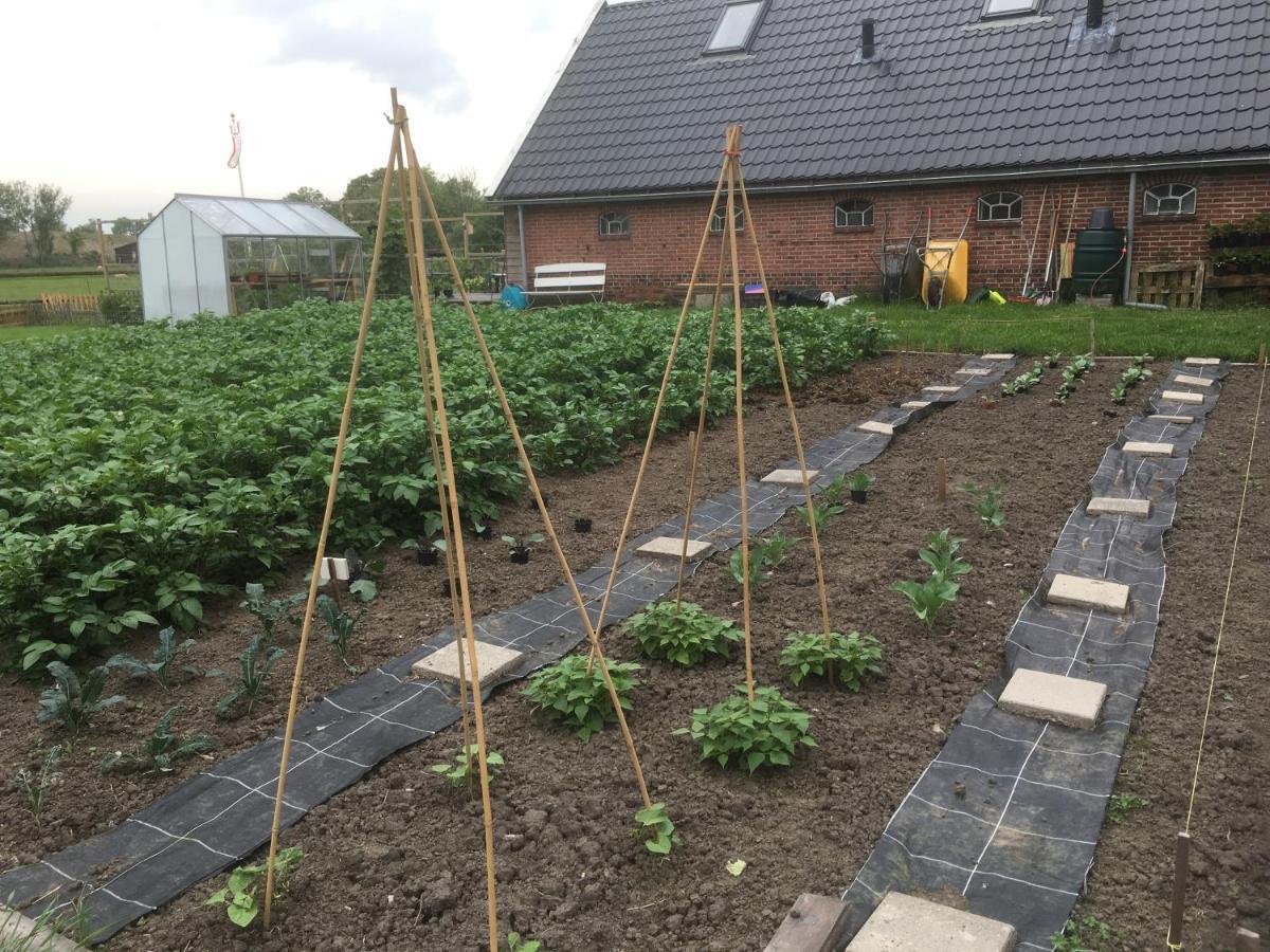 Onder De Boom Bed & Breakfast Gerkesklooster Exterior photo